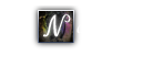 Your Brand